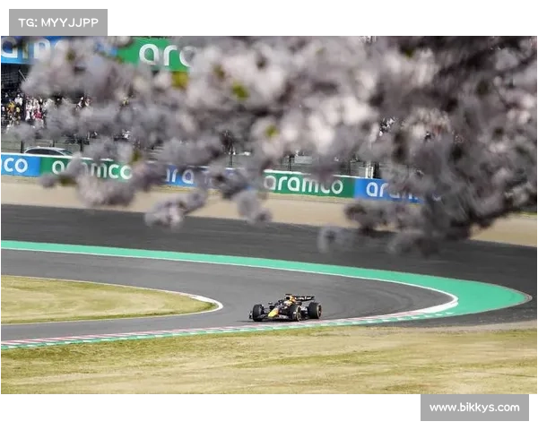 维斯塔潘:再创奇迹,F1个人年度总冠军绝杀瞬间 维斯塔潘:再创奇迹,F1个人年度总冠军绝杀瞬间