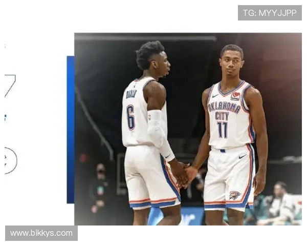 雷霆争抢成功率最新排名发布趋势变化引发广泛关注