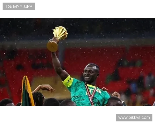 非洲杯激战连连 小组赛与淘汰赛精彩纷呈 谁将冲击冠军宝座