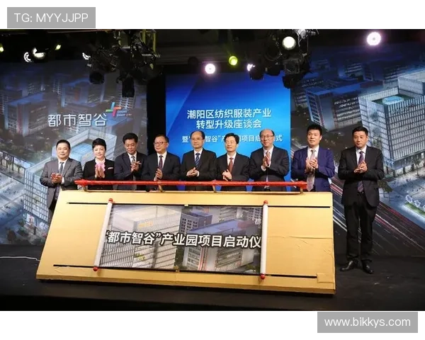 瑞丰国际引领全球创新发展助力企业转型升级的战略布局